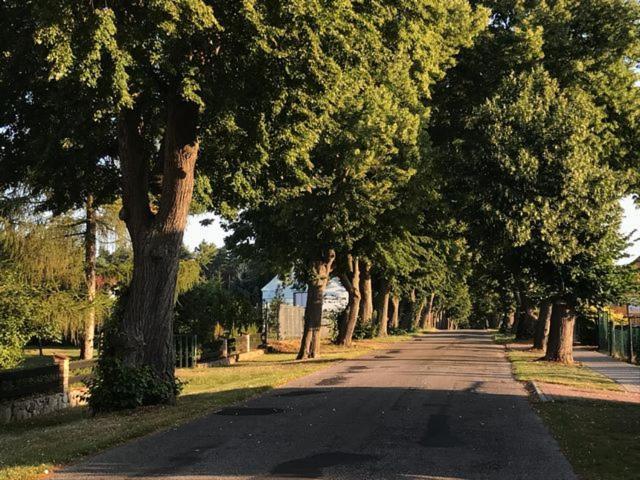 Siesta Country Villa Swiebodzin Bagian luar foto